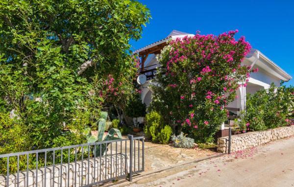 Apartment "Marija" - Otok Vir Εξωτερικό φωτογραφία