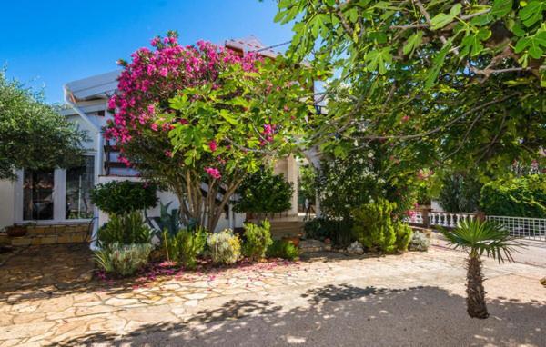 Apartment "Marija" - Otok Vir Εξωτερικό φωτογραφία